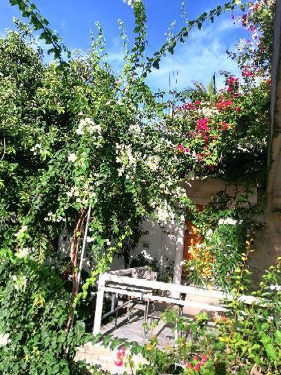Hotel Lonos Circle Terrace View Romblon Exterior foto